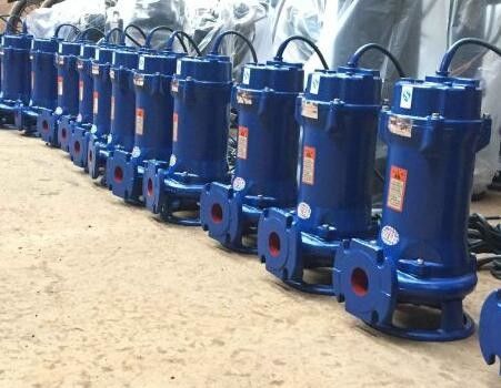 Насос нечистот погружающийся аквакультуры 500QW2200-10-110