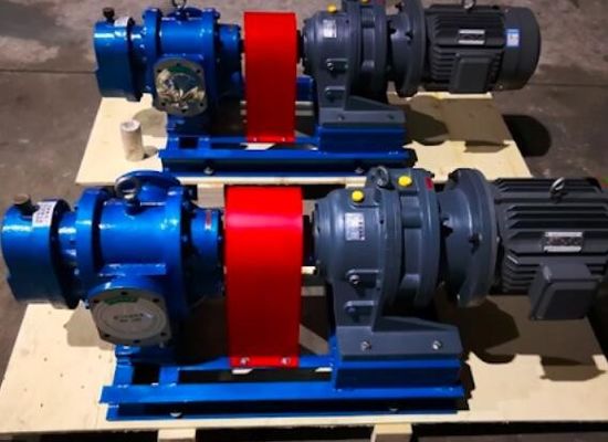 Шестерня LCW-10/0.6 LCW-10/0.6 лепестка масляного насоса высоковязких корней гидравлическая